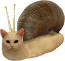 snailcat