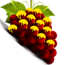 grapes42