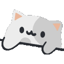kittytap