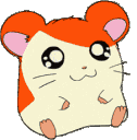 yhamster