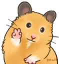 hamster