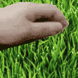 touchsomegrass