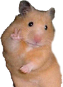 peacehamster