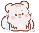 hamstercry