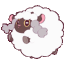 sheep53