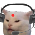 indianitcat42