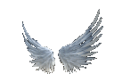 angelwings