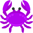 purplecrab