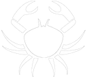 whitecrab