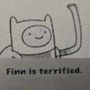 finn49