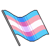 transflag