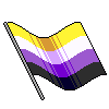 nonbinaryflag