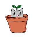 pottedcatplant