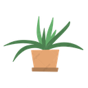 plant3