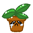 sadplant