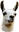 llama73