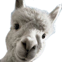 llama55