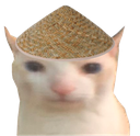 idchinesecat