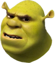 shrekconfused