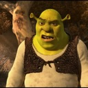 shrek29