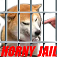 doghornijail