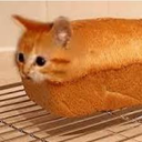 breadcat