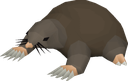 mole