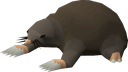 mole45