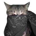 graybandanacat67