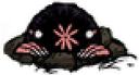 mole20