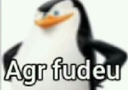 pinguimfudeu