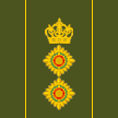 colonel27