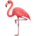 zflamingo