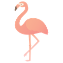 flamingo86