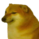 cheems