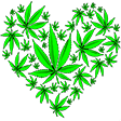 sheartweed