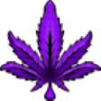 weedpurp
