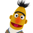 bert53