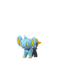 shinx
