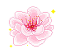 ccpinkblossom