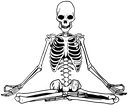 skeleton66