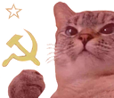 communism98