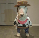 cowboywalter