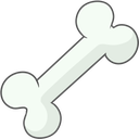 bone