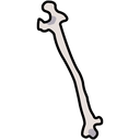 bone66