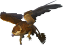griffin