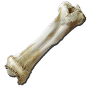 bone52