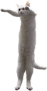 sllongcatto