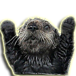 otterblitz