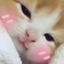 aww84